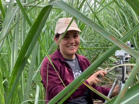 Conoce a la Dra. Cristina Chinchilla-Soto, Directora del CICA y Profesora de Agronomía de la UCR